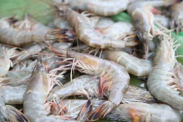 美食攻略｜在威海的一天，可以这样吃