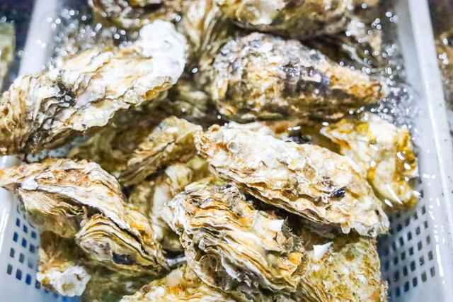 美食攻略｜在威海的一天，可以这样吃