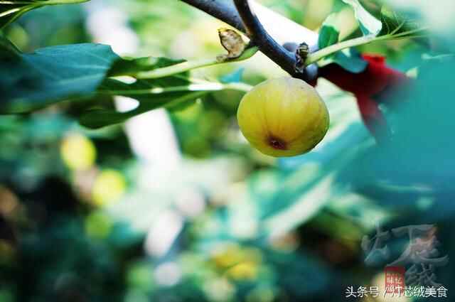 威海 文登，记忆中清亮的小河，记忆中秋收的故乡