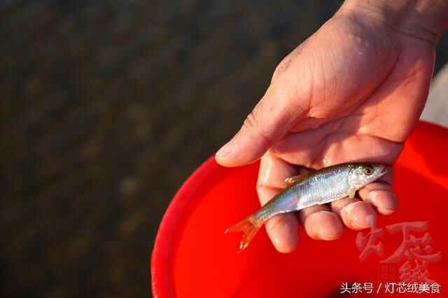 威海 文登，记忆中清亮的小河，记忆中秋收的故乡