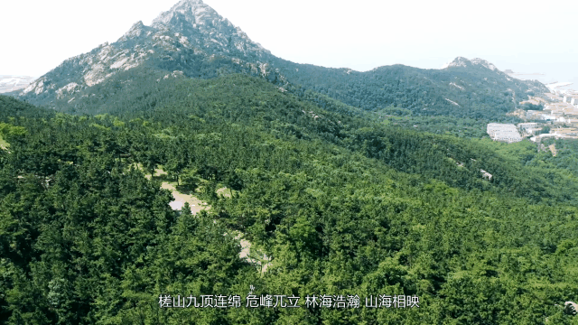 “五一”游荣成，这份攻略请查收！