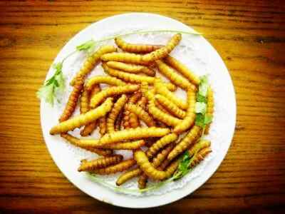 《舌尖上的威海——特色小吃篇》那些你见过既害怕又美味的食物