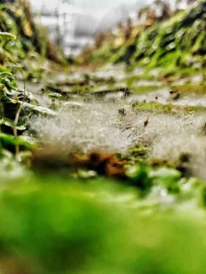咱文登竟藏着这么多好东西^^^^^^