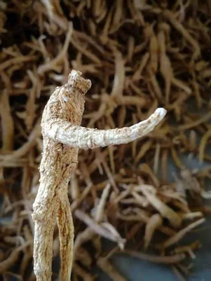 咱文登竟藏着这么多好东西^^^^^^