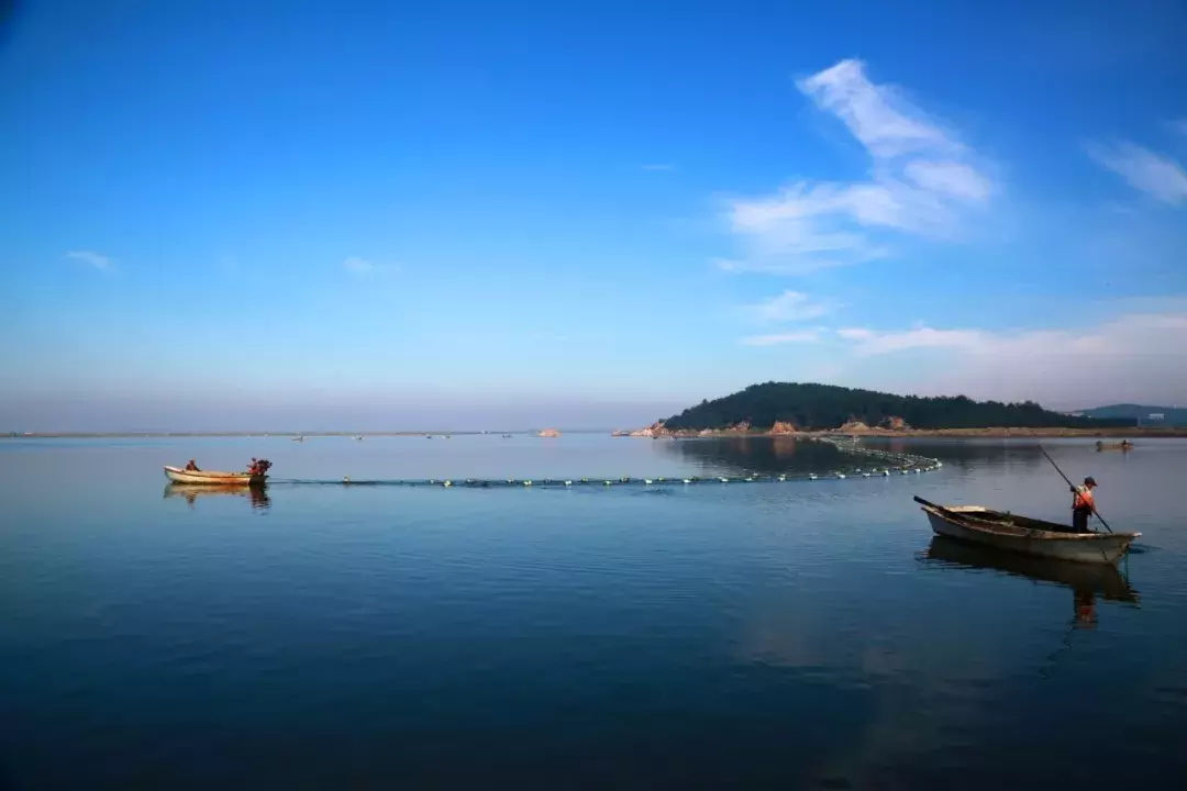 逛吃~逛吃~游荣成，品海鲜美食