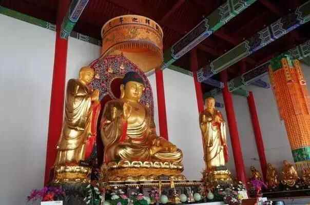 威海周末去哪，美食美景，采摘骑行，里口山统统都有！