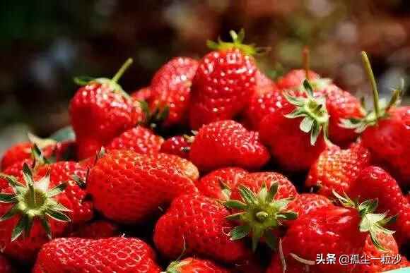 威海乳山市8大推荐美食，这些地方美食值得你的品尝