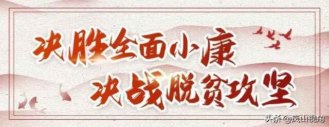 日照市岚山区第十八届人民代表大会第五次会议闭幕