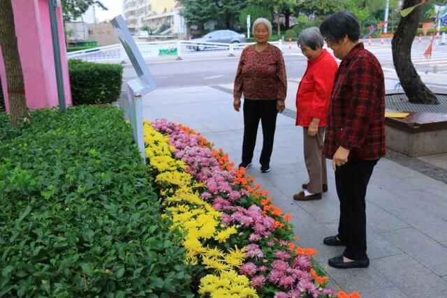 五莲县：繁花似锦扮山城赏心乐事迎国庆