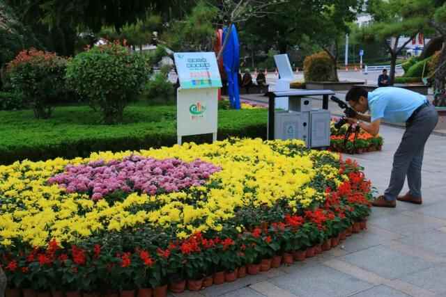 五莲县：繁花似锦扮山城赏心乐事迎国庆