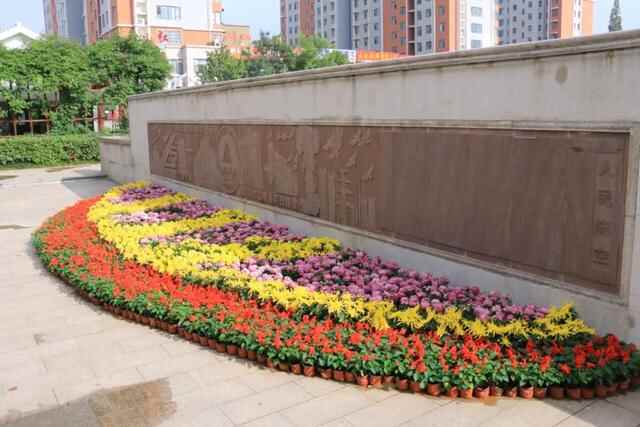 五莲县：繁花似锦扮山城赏心乐事迎国庆