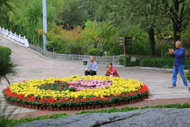 五莲县：繁花似锦扮山城赏心乐事迎国庆