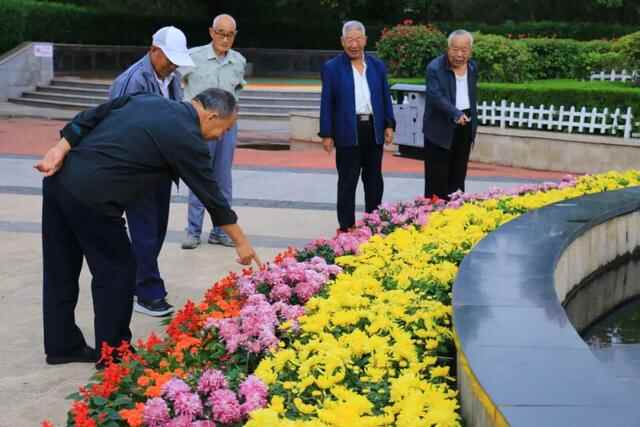 五莲县：繁花似锦扮山城赏心乐事迎国庆