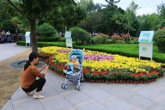 五莲县：繁花似锦扮山城赏心乐事迎国庆