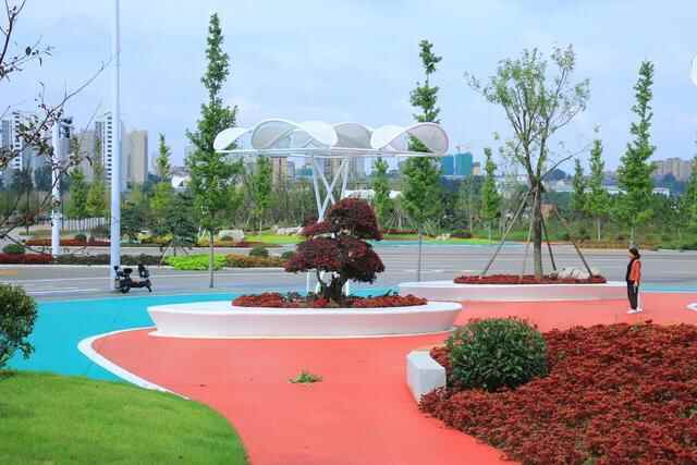 五莲县：繁花似锦扮山城赏心乐事迎国庆