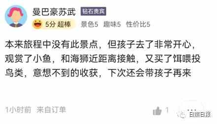 日照怎么样？外地游客的答案是…