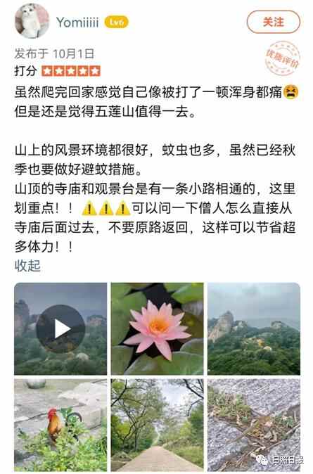 日照怎么样？外地游客的答案是…