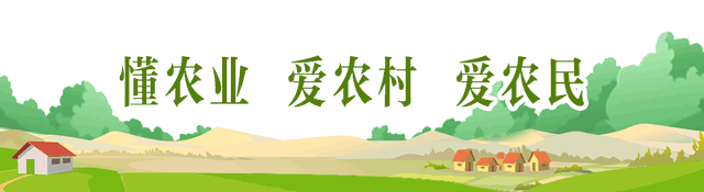岚山区上榜第二批山东省区域性良种繁育基地！