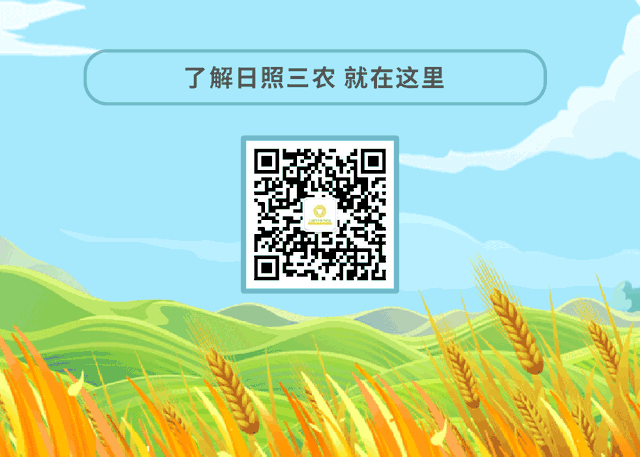 岚山区上榜第二批山东省区域性良种繁育基地！