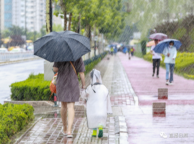 日照喜迎中到大雨！雨情及预报来了！又一波降雨+高温已在路上