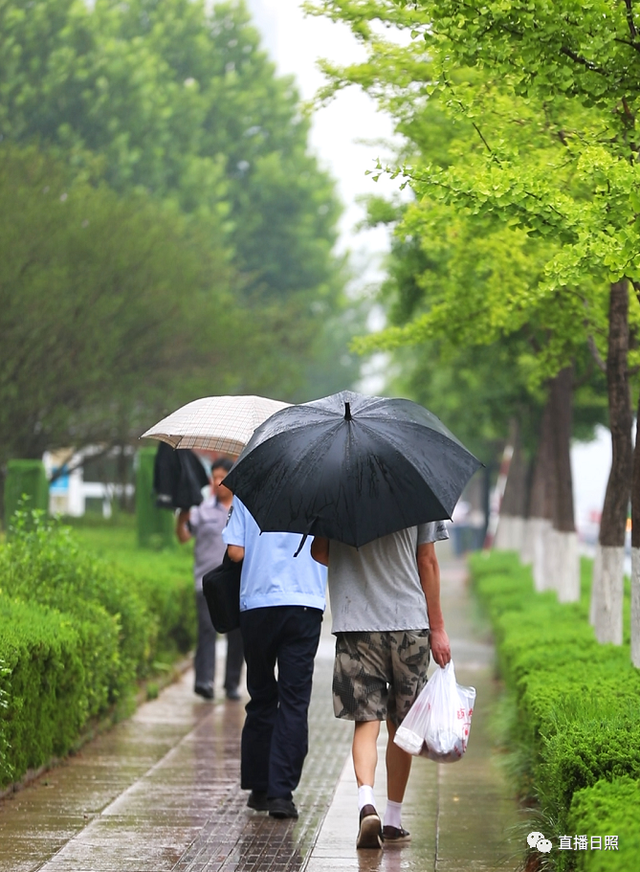 日照喜迎中到大雨！雨情及预报来了！又一波降雨+高温已在路上