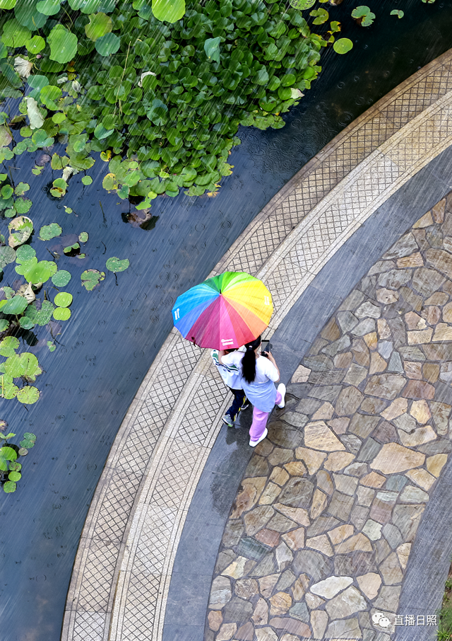 日照喜迎中到大雨！雨情及预报来了！又一波降雨+高温已在路上