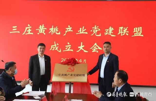 日照市东港区红色党建联盟护航绿色黄桃产业发展