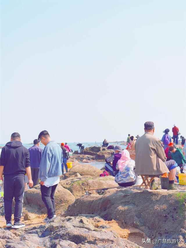 日照游记，日照旅行值得去，踩雷