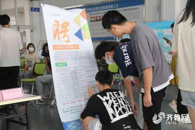 为企业发布岗位2400余个！日照岚山区人社局汇聚人才保障民生