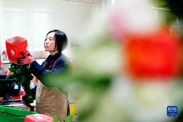 山东莒县：鲜切花铺就乡村振兴路
