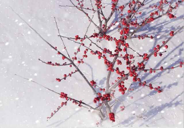 日照市五莲县：有一种美，踏雪而来
