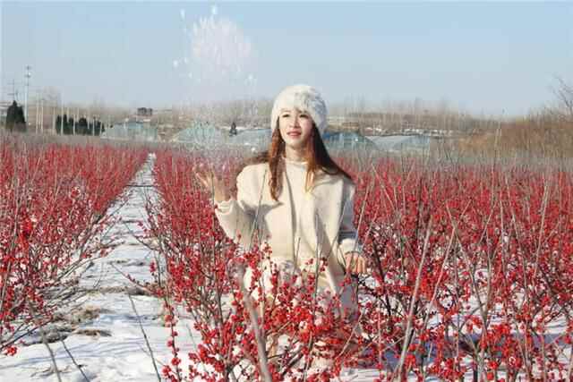 日照市五莲县：有一种美，踏雪而来