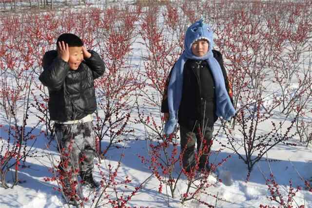 日照市五莲县：有一种美，踏雪而来