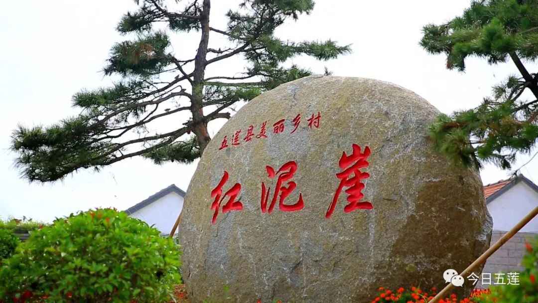 全国示范！五莲这个村入选！