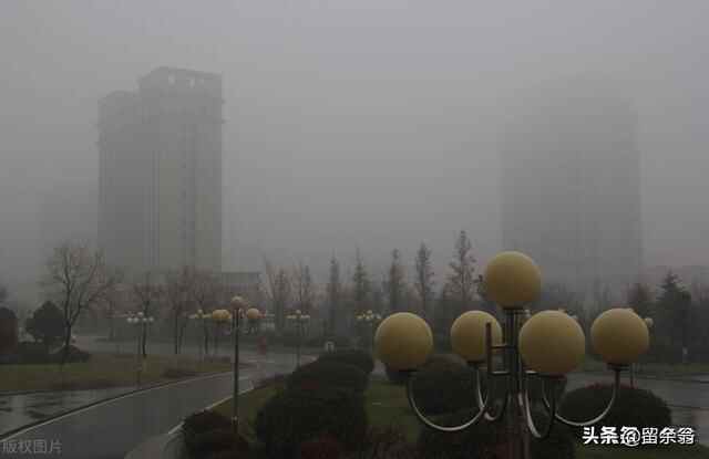 设想：日照和连云港联合开发海州湾，形成新的湾区城市群