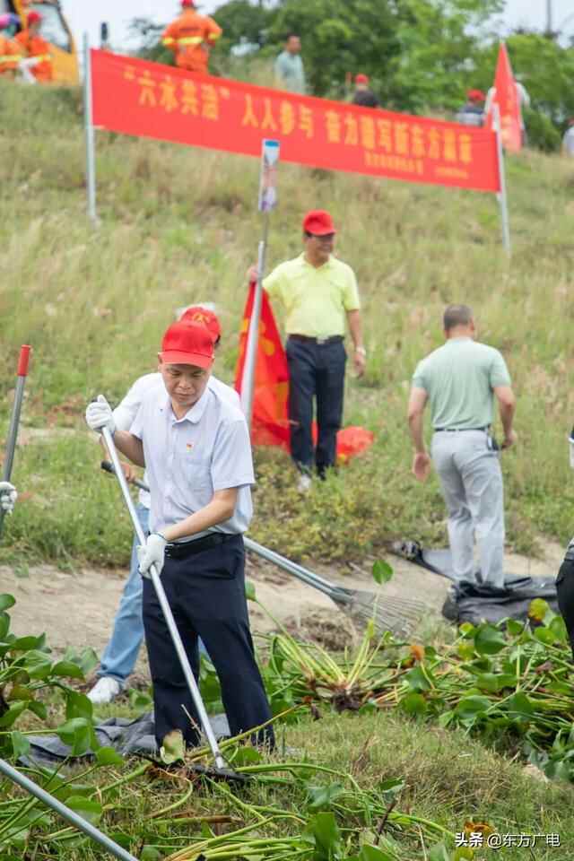 东方市启动2022年水浮莲清理“百日大战”攻坚行动 助力打赢“六水共治”攻坚战 努力建...