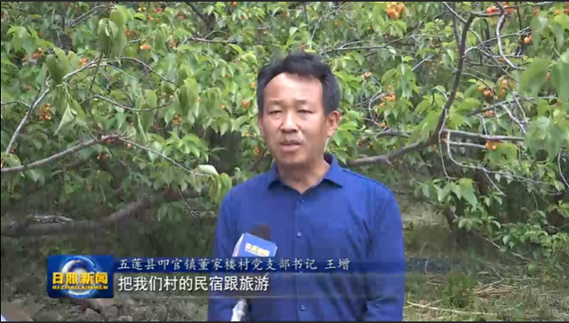 日照：以产业高质量发展促乡村振兴