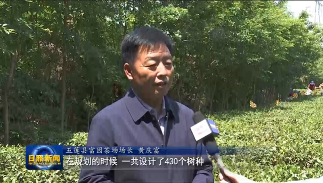 日照：以产业高质量发展促乡村振兴