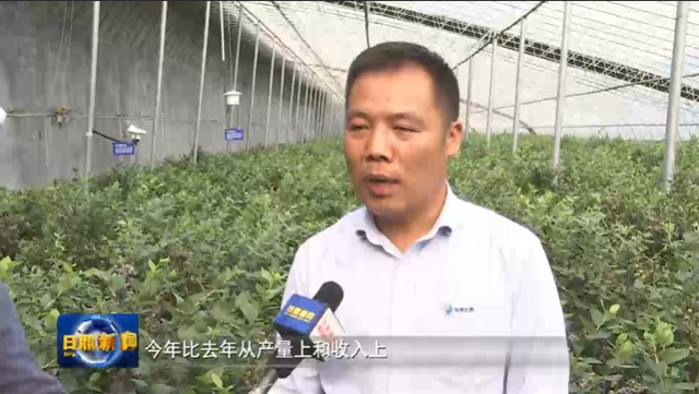 日照：以产业高质量发展促乡村振兴