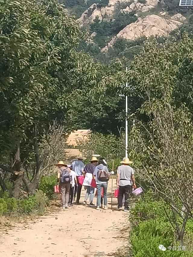 19.99万人次！国庆假期前三天，五莲旅游有多火爆…