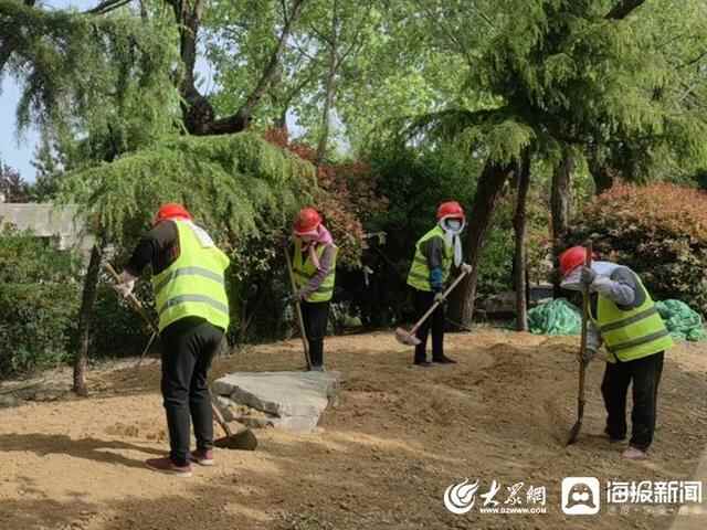 岚山区住建局：街景绿化扮靓城市颜值 以最美姿态助力省运会