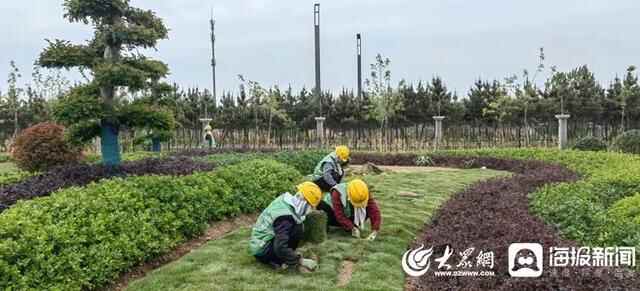 岚山区住建局：街景绿化扮靓城市颜值 以最美姿态助力省运会