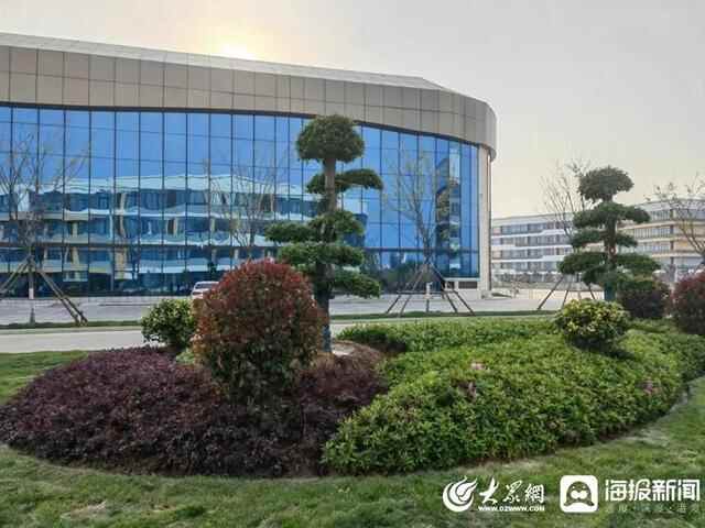岚山区住建局：街景绿化扮靓城市颜值 以最美姿态助力省运会
