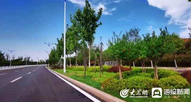 岚山区住建局：街景绿化扮靓城市颜值 以最美姿态助力省运会