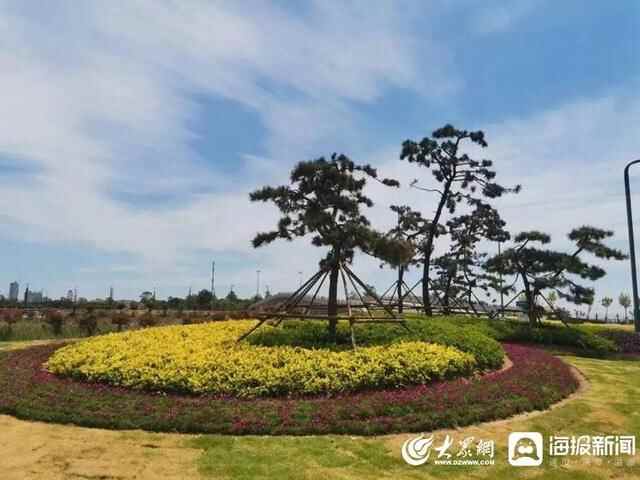 岚山区住建局：街景绿化扮靓城市颜值 以最美姿态助力省运会