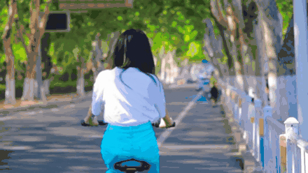来日照市东港区石臼街道，邂逅醉美“梧桐大道”
