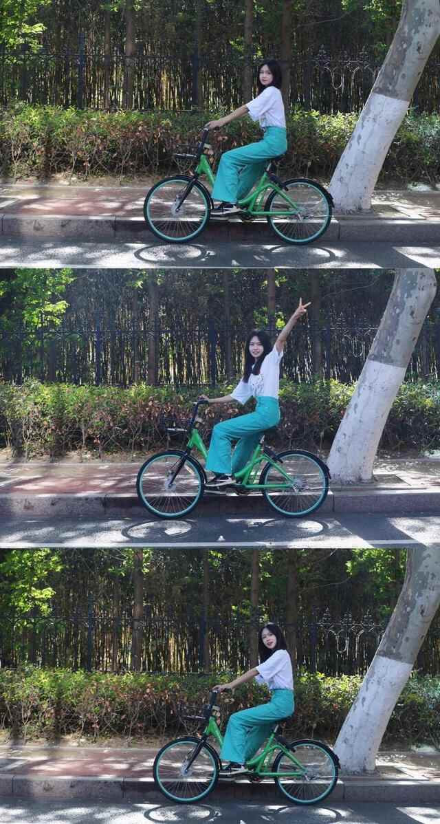 来日照市东港区石臼街道，邂逅醉美“梧桐大道”