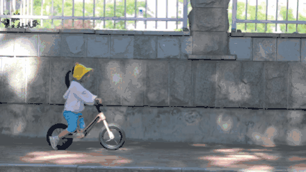 来日照市东港区石臼街道，邂逅醉美“梧桐大道”