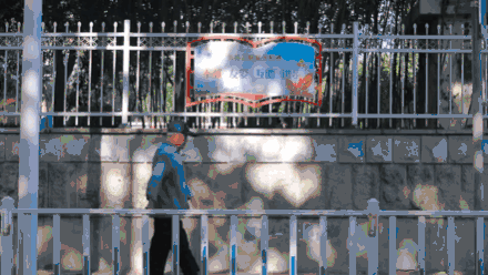来日照市东港区石臼街道，邂逅醉美“梧桐大道”