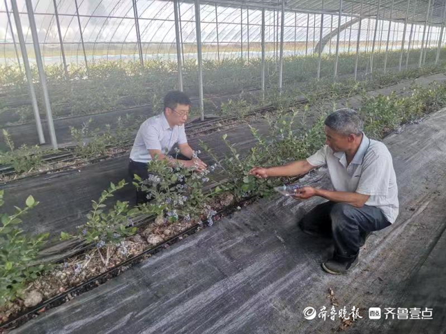 莒县农商银行：金融活水助力家庭农场焕新颜